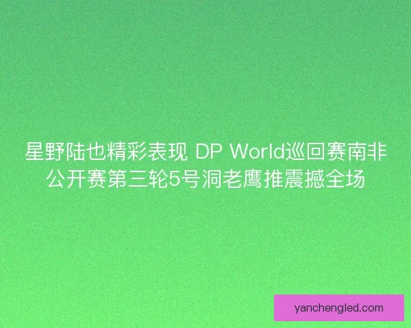 星野陆也精彩表现 DP World巡回赛南非公开赛第三轮5号洞老鹰推震撼全场